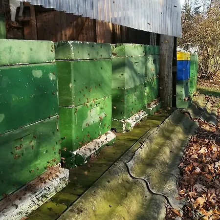 Ferienwohnung Wiesenweg Bad Bederkesa Exterior foto