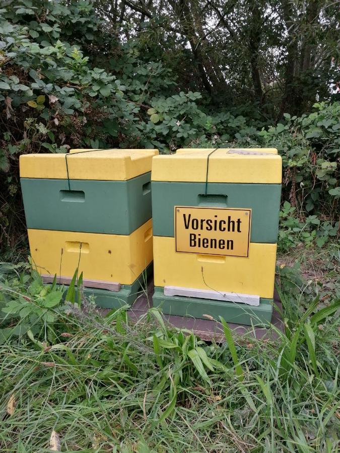 Wiesenweg