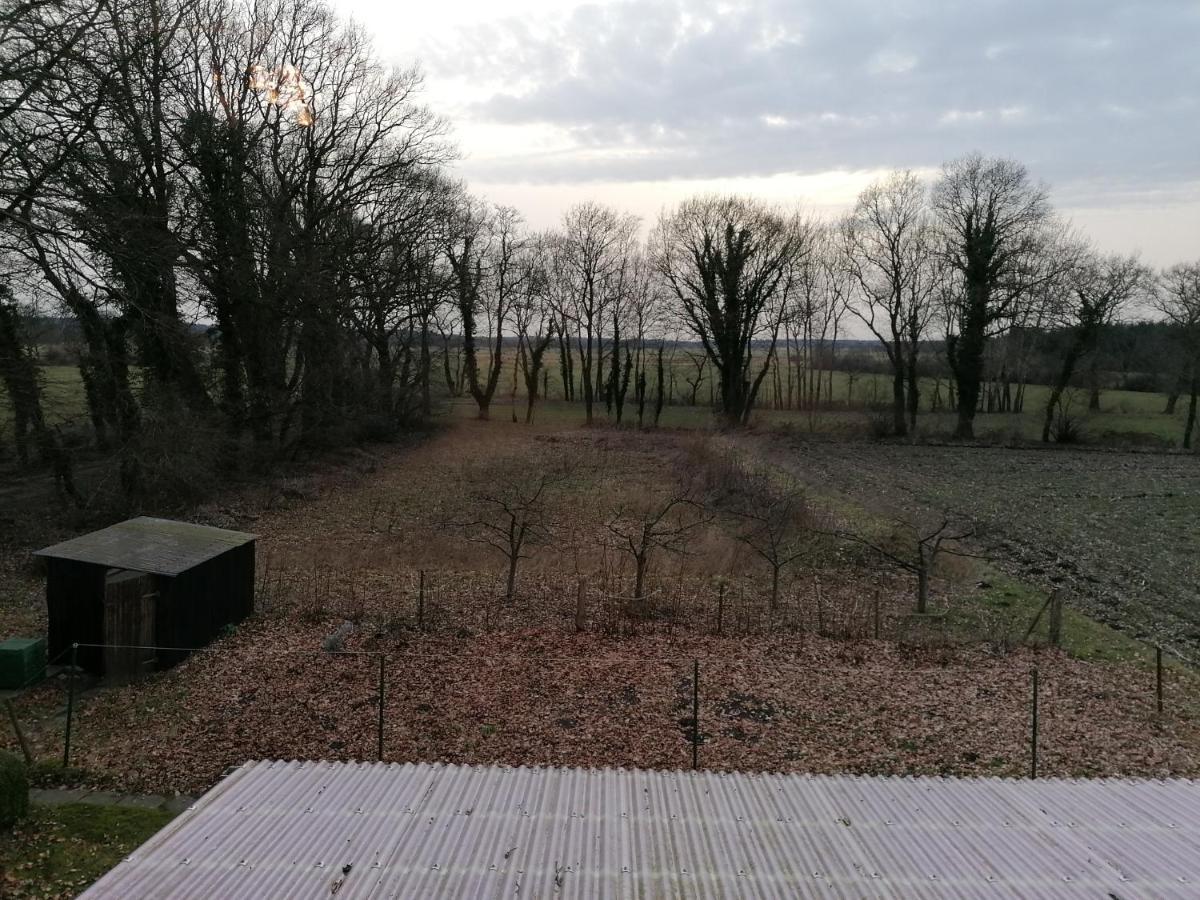Wiesenweg Apartment Bad Bederkesa